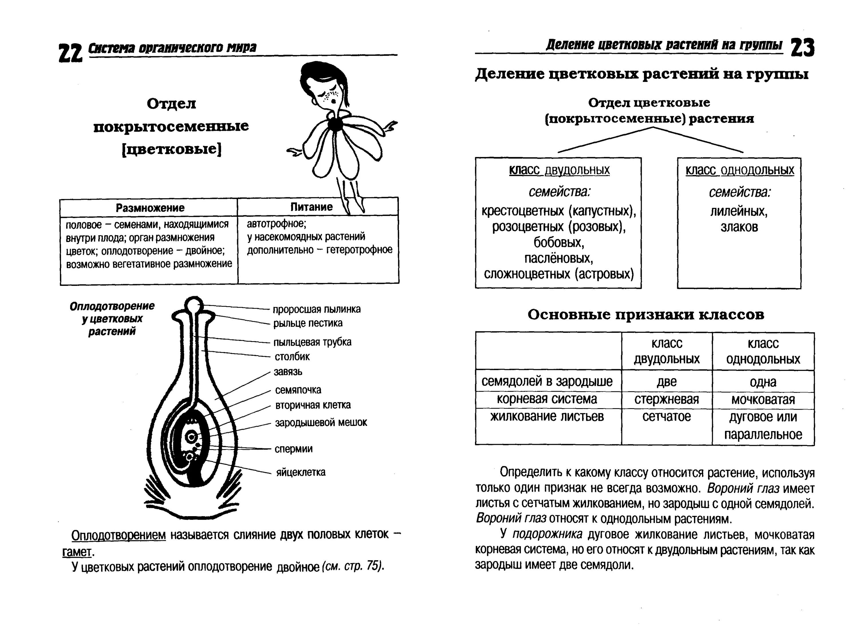 Биология человека егэ. Ботаника в таблицах и схемах ЕГЭ. Биология в таблицах и схемах. Биология в рисунках схемах и таблицах. Биология таблица ботаника.