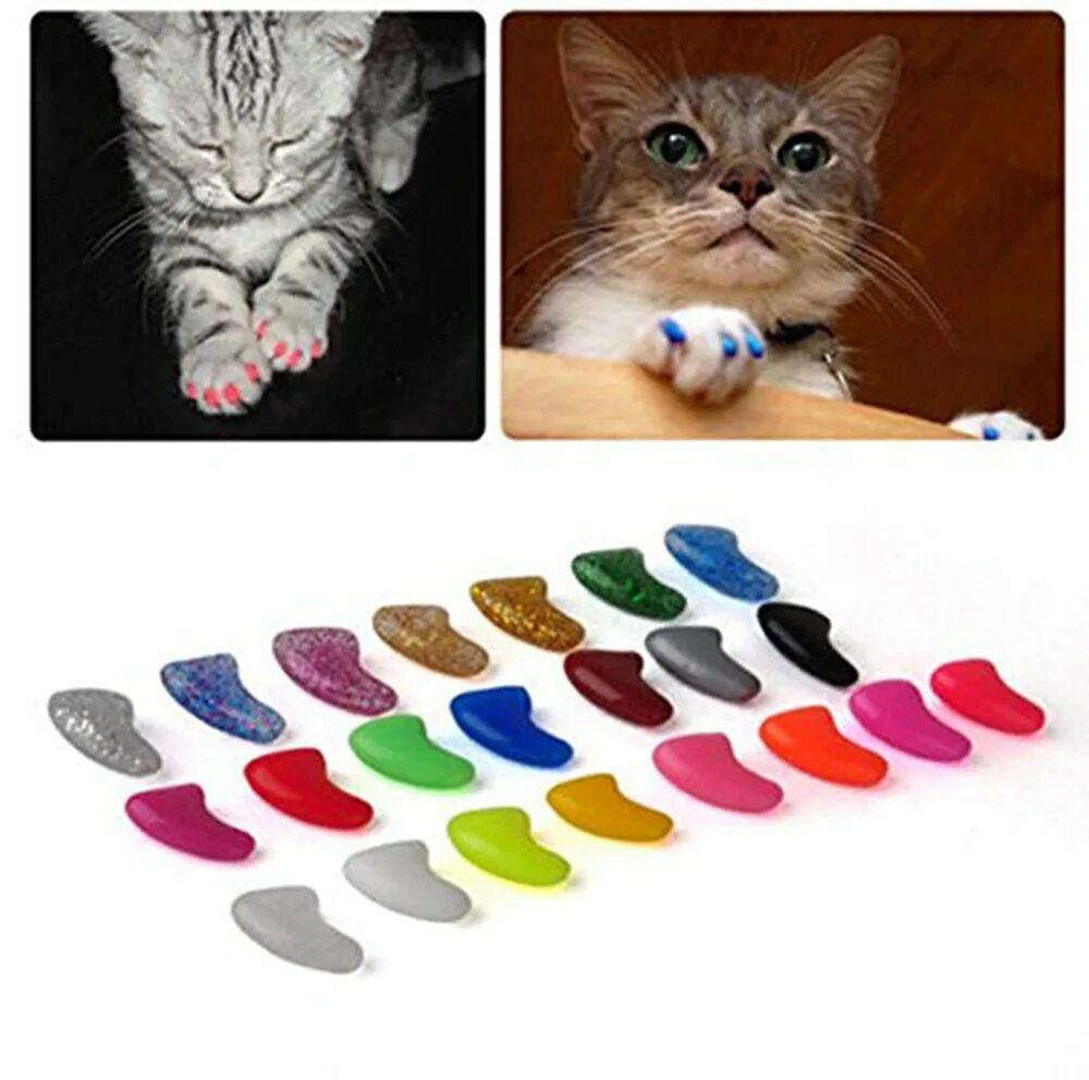 Наклейки на когти для кошек. На когти кошке колпачки силиконовые. Кот на ногтях. Царапки для кошек.