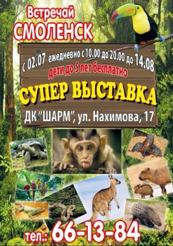 Выставки диких животных. Выставка животных. выставка животных афиша. выставка животных плакат.