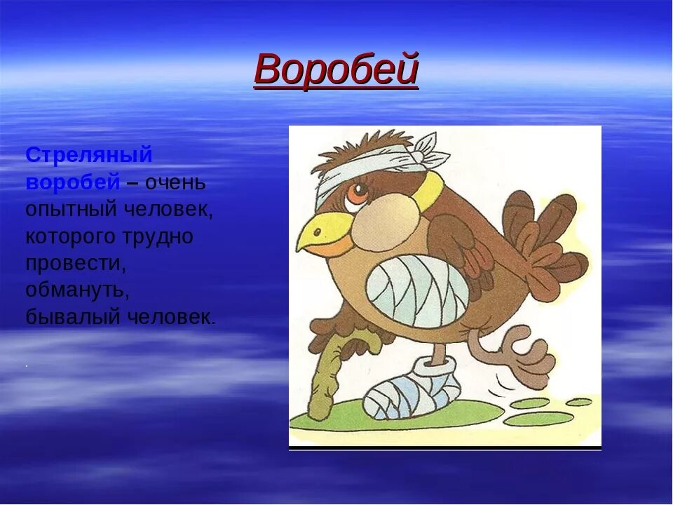 Очень опытный человек которого трудно провести обмануть. Стреляный Воробей фразеологизм. Фразеологизмы с птицами. Фразеологизмы с названиями птиц. Стреленыц Воробец фразиооогизм.