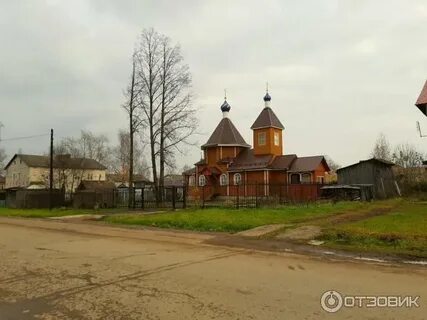 Анонимка тонкино нижегородская
