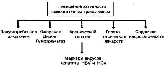 Повышение активности трансаминаз. Повышение активности печеночных трансаминаз что это. Рост активности трансаминаз. Повышение сывороточных трансаминаз.