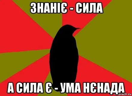 Умом мем