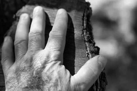 Black fingers