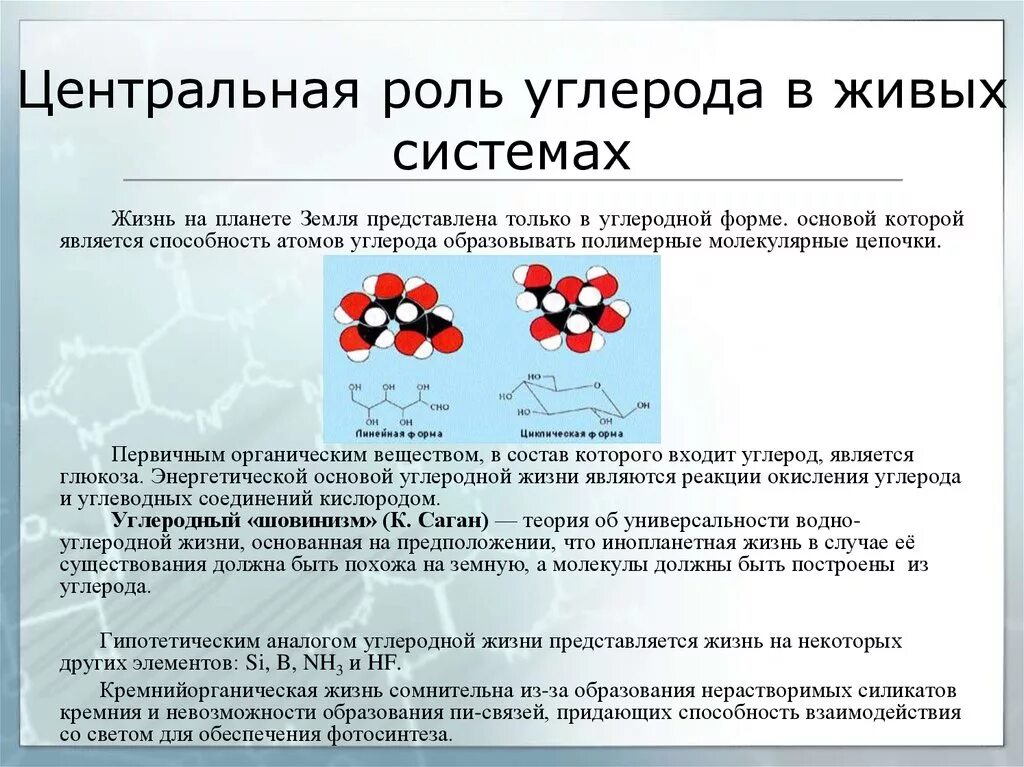 Соединения углерода в организме