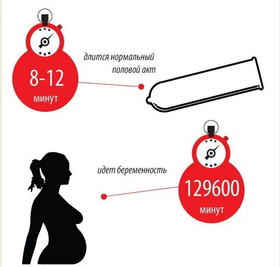 Нормальное время полового