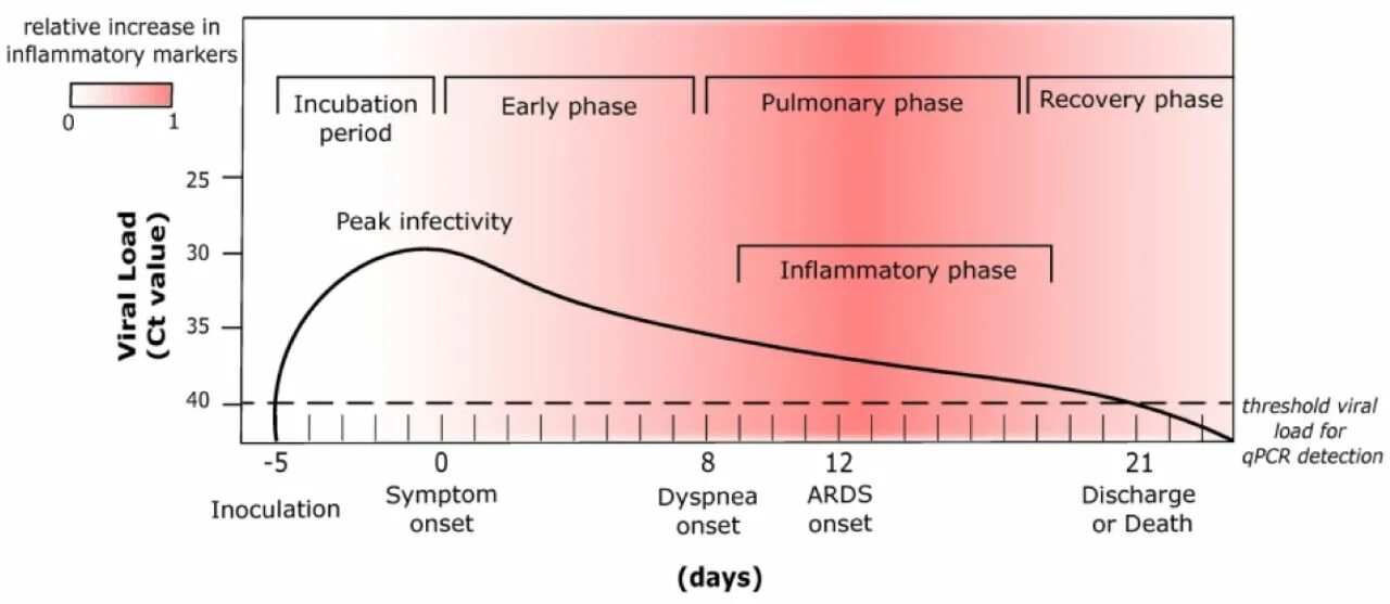 Viral load группа. Stages of Infectious Stages. Viral load (2021). Adult Respiratory Distress Syndrome treatment. Load reference