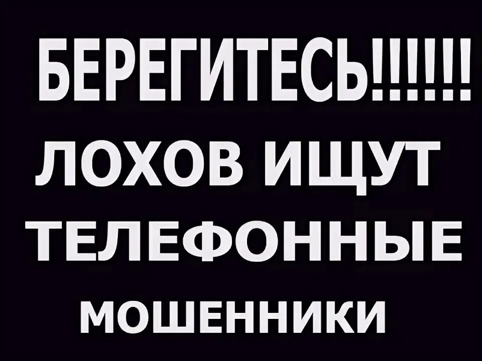 Ищу лохов картинки. Бизнес iphone. Телефон для лохов. Айфон бизнес. Телефон для лохов.