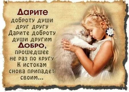 Добрый добряк доброта