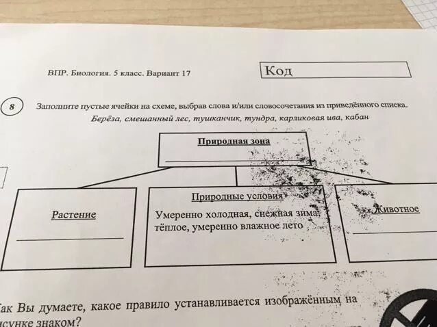 Заполните пустые ячейки на схеме выбрав необходимые. Заполните пустые ячейки на схеме. Заполните пустые ячейки на схеме выбрав необходимые слова. Заполните пустые ячейки ответы. Впр биология 5 класс вариант 16