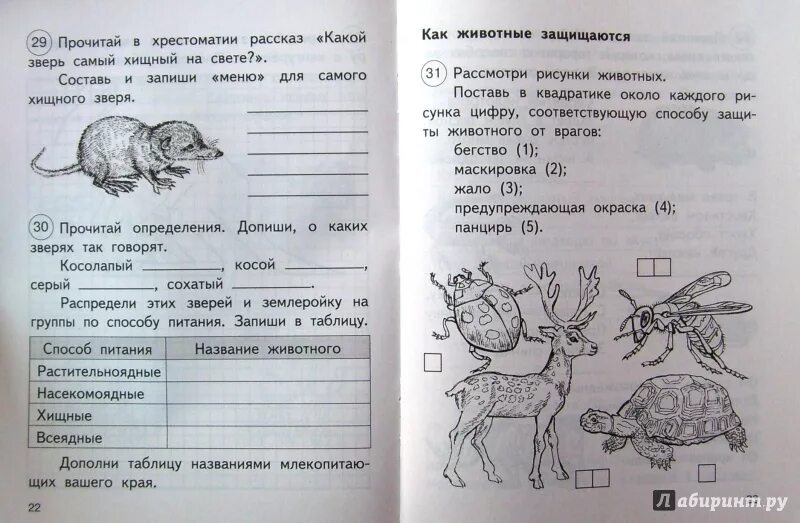 Задание по окр миру 2 класс. Окружающий 2 класс задания. Окружающий мир 2 класс задания. Задания для второго класса по окружающему миру. Самостоятельные задание по окружающему миру 2 класс.