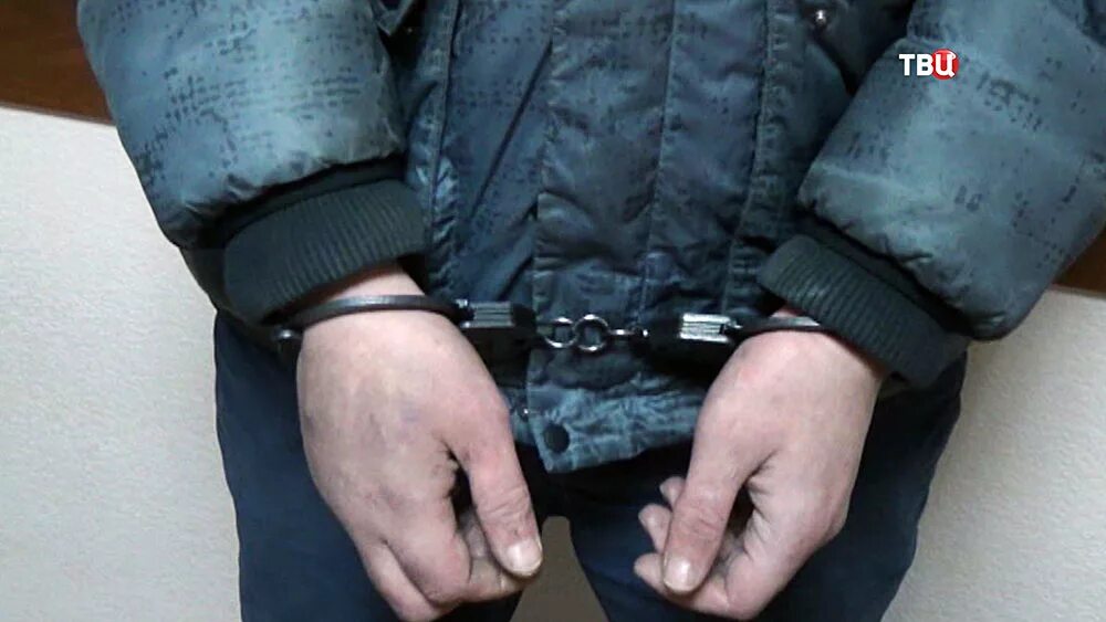 Центр задержали. Задержали в латвии. в латвии арестовали журналистов. мартышев задержан в латвии.