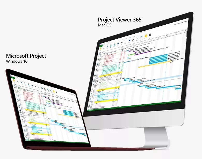 Microsoft Project 365. MS Project Mac. Windows Project. Проект Windows. Project mac