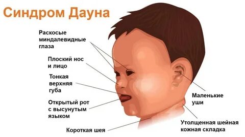 Бюстгалтерлер немесе трусиктер жоқ