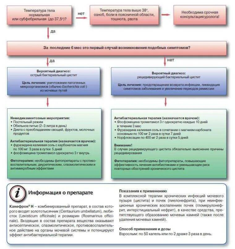 Цистит лечение врач. Лечение хронического цистита схема лечения. Схема лечения при хроническом цистите у женщин. Алгоритм консультирования при цистите. Алгоритм лечения цистита.