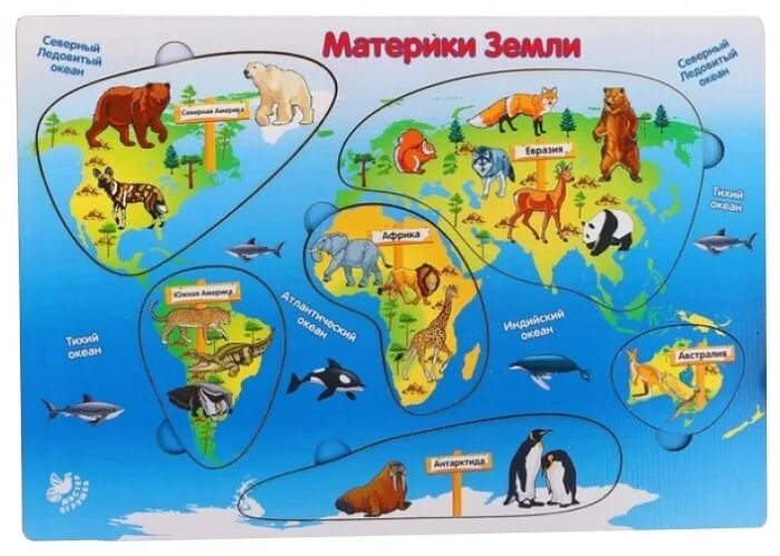 Природные зоны России.животный и растительный мир