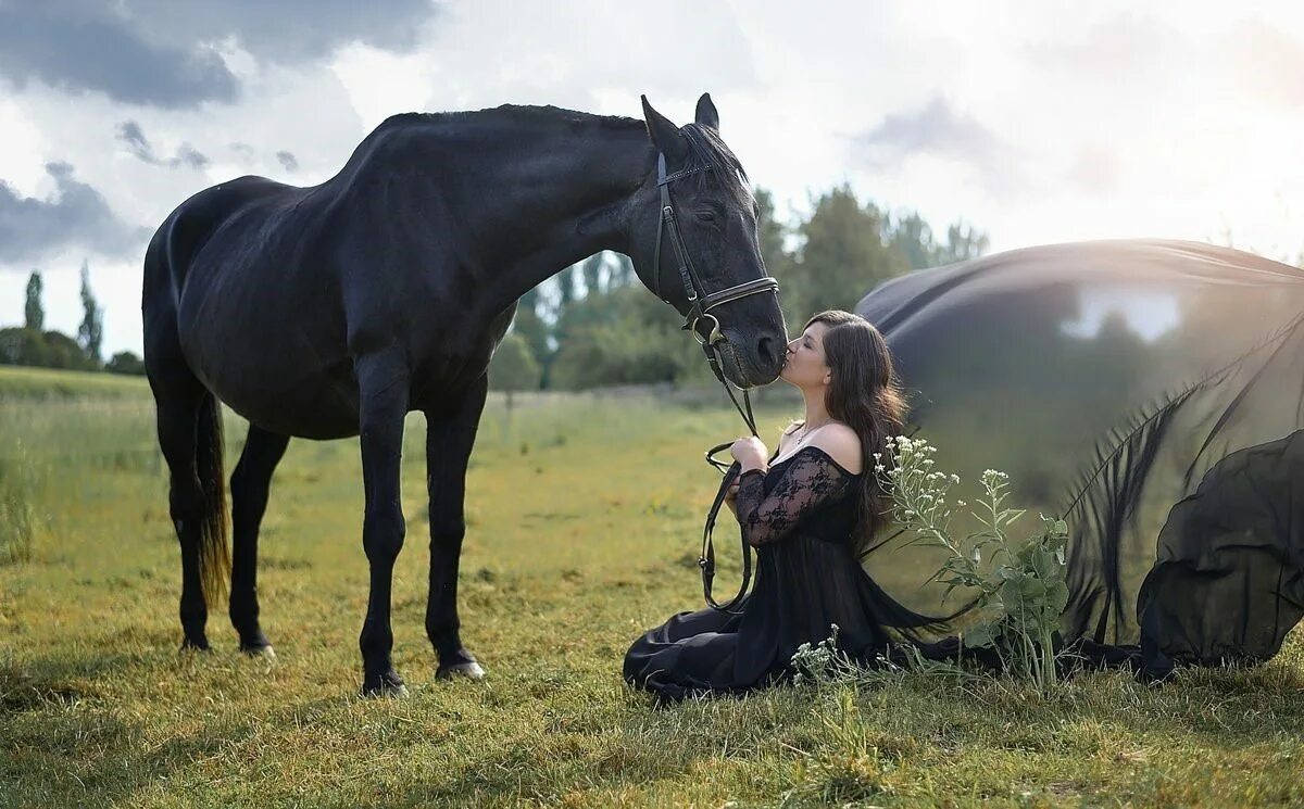 Фотосессия с лошадьми. Фотосессия с лошадьми на природе. Девушка на коне. Фотосет с лошадью. Эта лошадь красива и своенравна