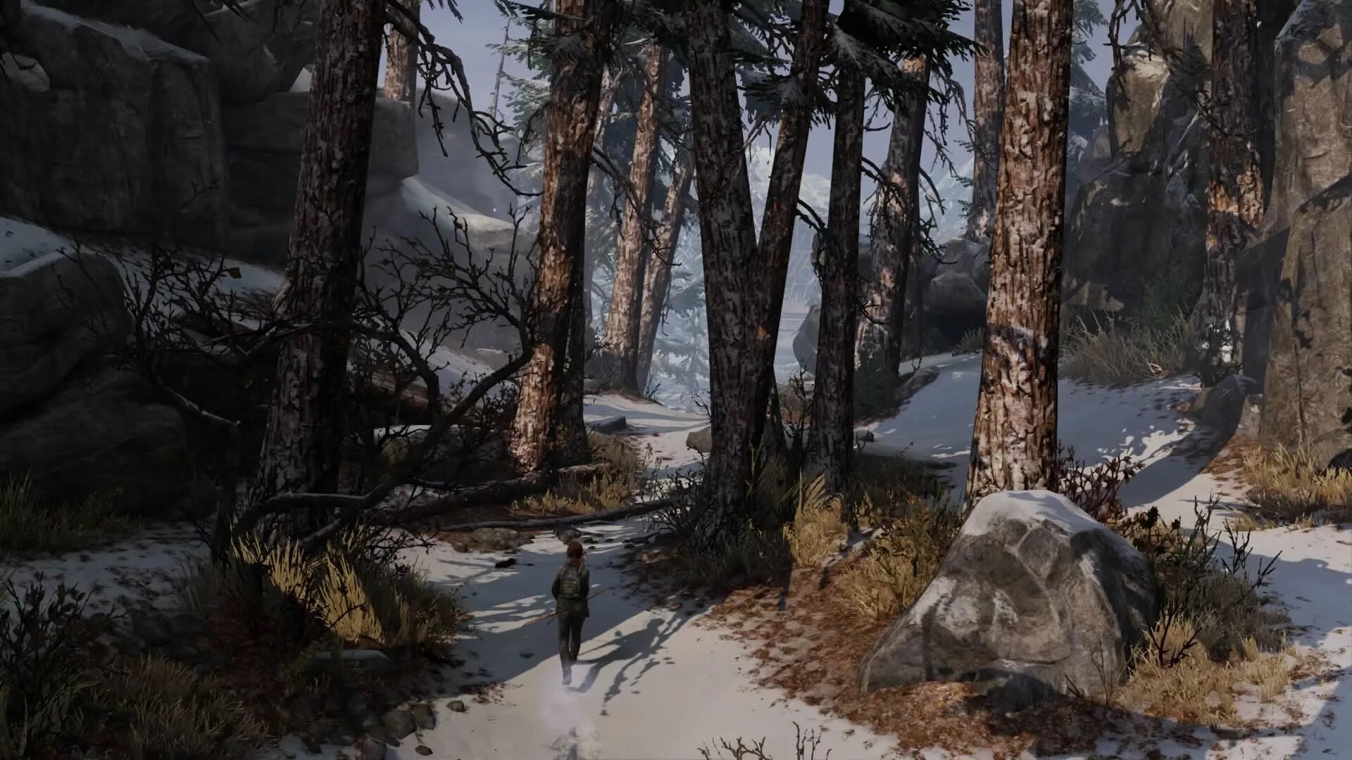 C last version. The last of us. the last of us зима. пейзажи из игр. пейзажи из игры одни из нас.