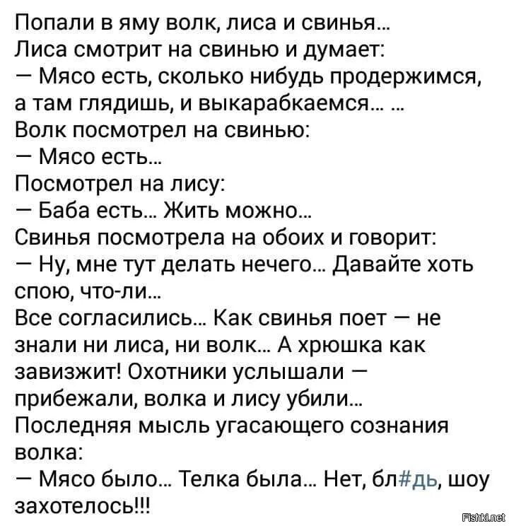 Анекдот про волка. Анекдоты про лису. Анекдот про зайца и лису. Анекдоты про волка и лису и зайца. Анекдот лиса волка