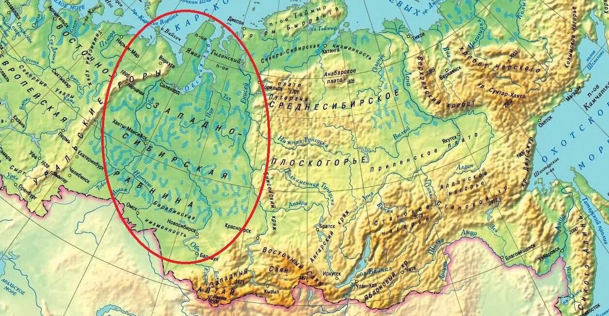 Западно Сибирская низменность на карте. Низменности Западно сибирской равнины на карте. Физическая карта Западно сибирской равнины. Северо Сибирская низменность на карте России. Валдайские горы на карте россии