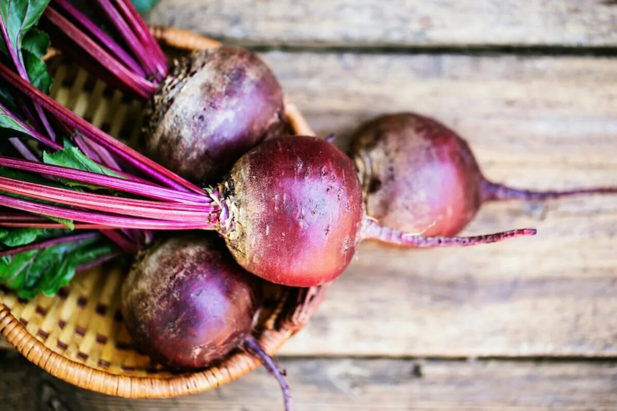 Свежая свекла польза. Свекла beetroot. Cdtrrkf. Свекла столовая. Полезные вещества в свекле.