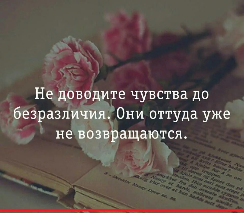 Равнодушие самый. Равнодушие цитаты. Статусы про безразличие. Высказывания о равнодушии и безразличии. Безразличие цитаты.