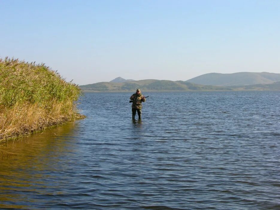 озеро птичье приморский край. озеро птичье приморский. озеро птичье приморский край. озеро тальми. озеро птичье приморский край.