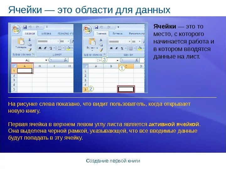 Ячейка рабочего листа. Ячейка. ввод данных в ячейку. название ячейки выделенной. выделить данные ячейки.