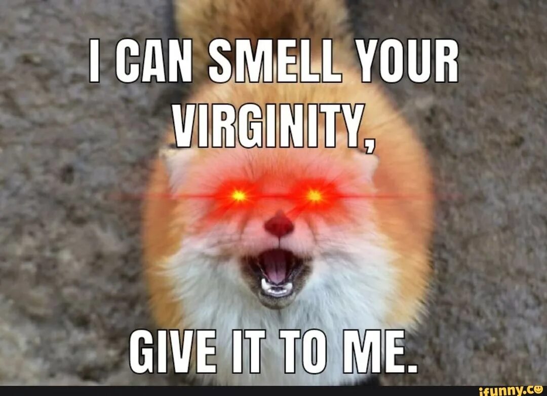 Прикол l can smell bullshit. Virginity Akimbo кроссовки. I can smell everything.. Your virginity