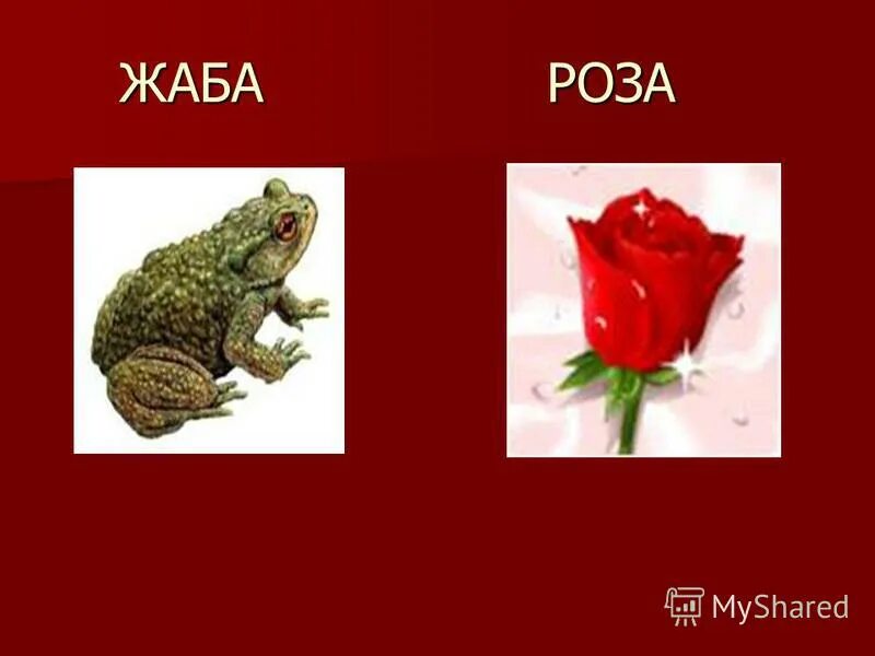 тест о жабе и розе 4 класс