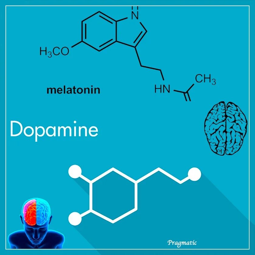 Гормон счастья дофамин формула. Дофамин формула биохимия. Дофамин и мелатонин. Дофамин гормон формула.