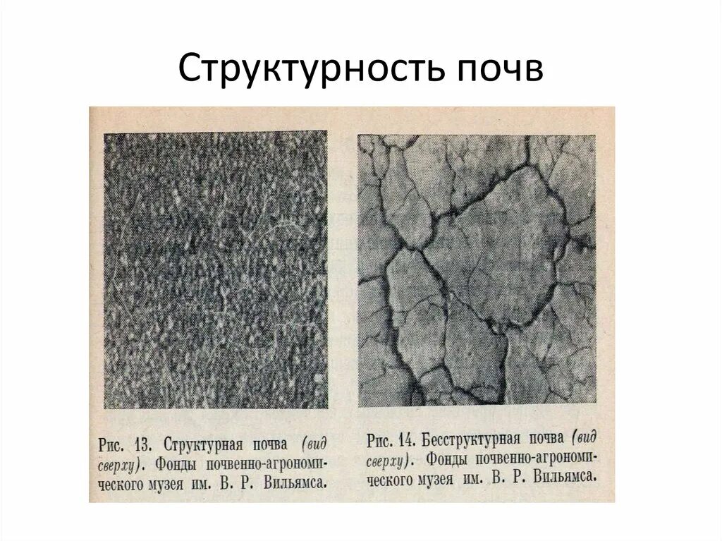 Структурность почвы. Структура и структурность почвы. Состав почв структурность. Плитчатая структура почвы.