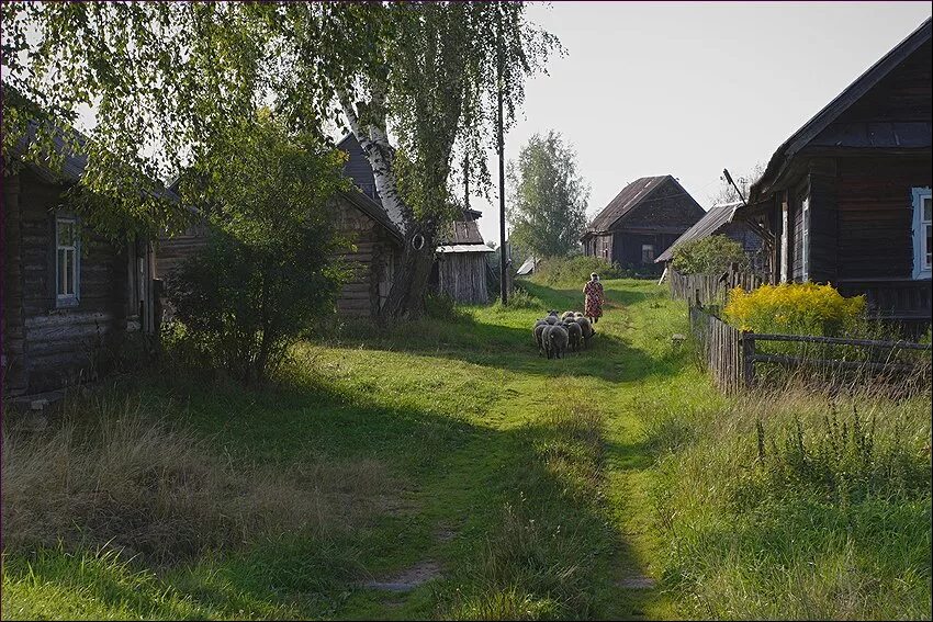 Деревня Дивинец. Деревня Сизяшур. Лодейка деревня. Русские деревни. Владение в селе