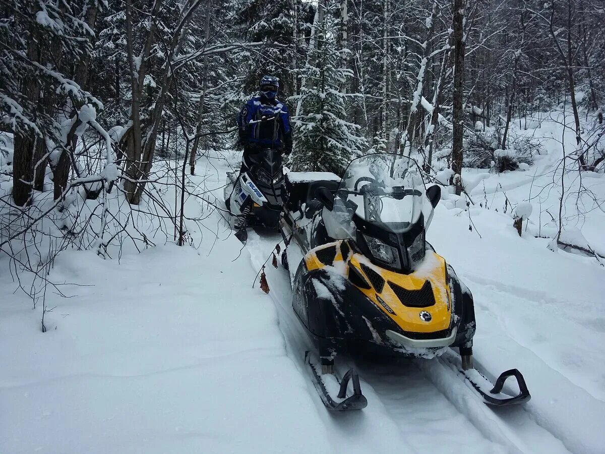 BRP Ski-Doo Skandic WT 550. Снегоход Ski-Doo Skandic WT 550. Снегоход BRP Скандик 550. Снегоход BRP Ski-Doo Skandic WT 550.