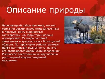 Маленькое описание природы