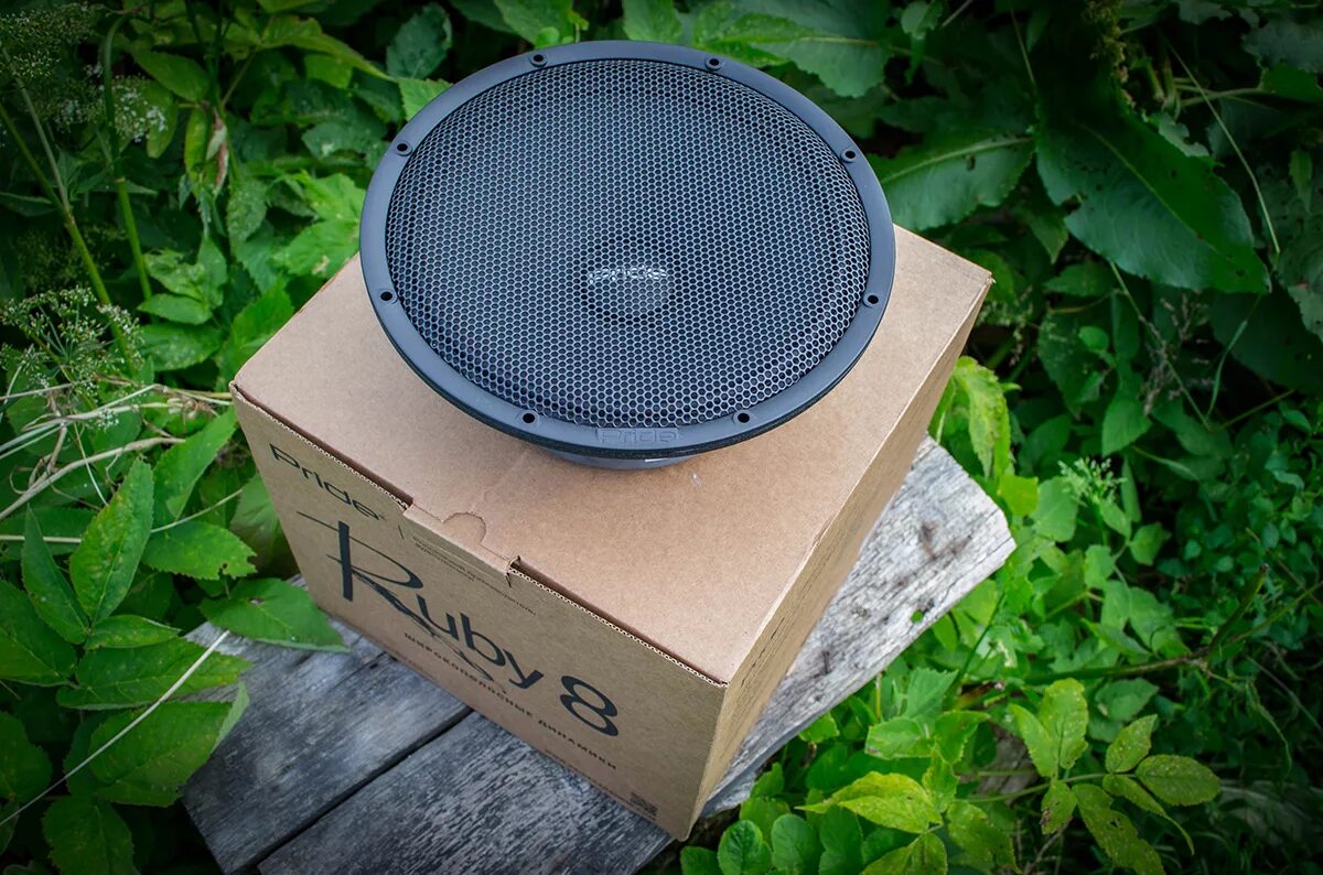 Voice v2