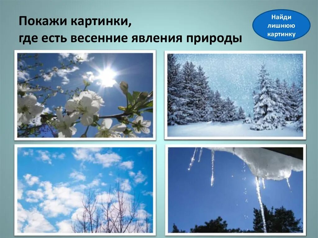 Явление природы весной 2 класс. Природные явления весны. Явления живой природы зимой. Весенние летние осенние зимние явления природы.