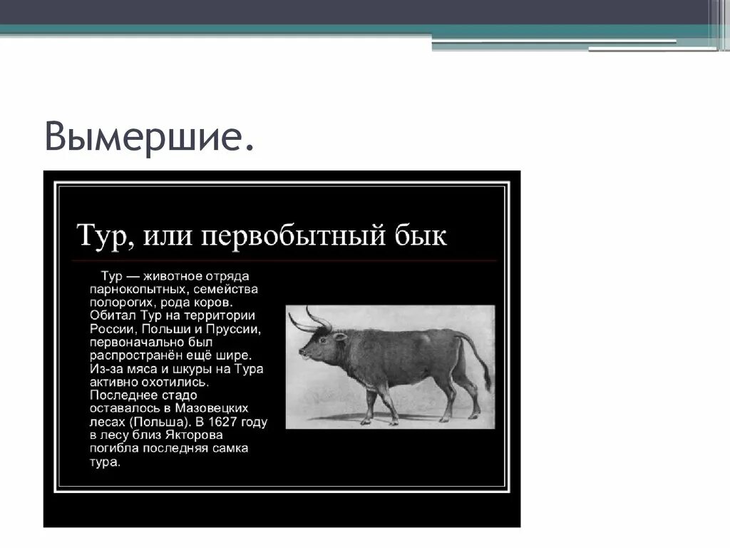 Почему черная страница. Красная книга России черные страницы животные. Чёрная книга вымерших животных. Чёрная книга вымерших животных России. Красная книга черные страницы животные которые вымерли.