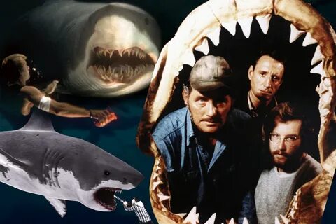 new shark movie.