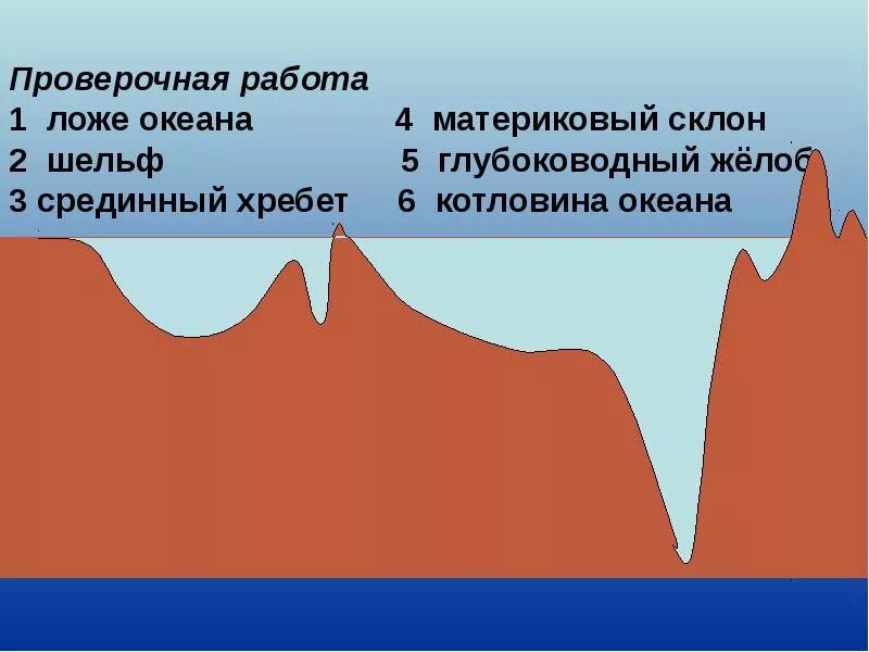 Рельеф дна мирового океана 7 класс география. Шельф рельефа дна. Рельеф дна мирового океана схема. Формы рельефа дна мирового океана 6 класс. Рельеф на дне мирового океана