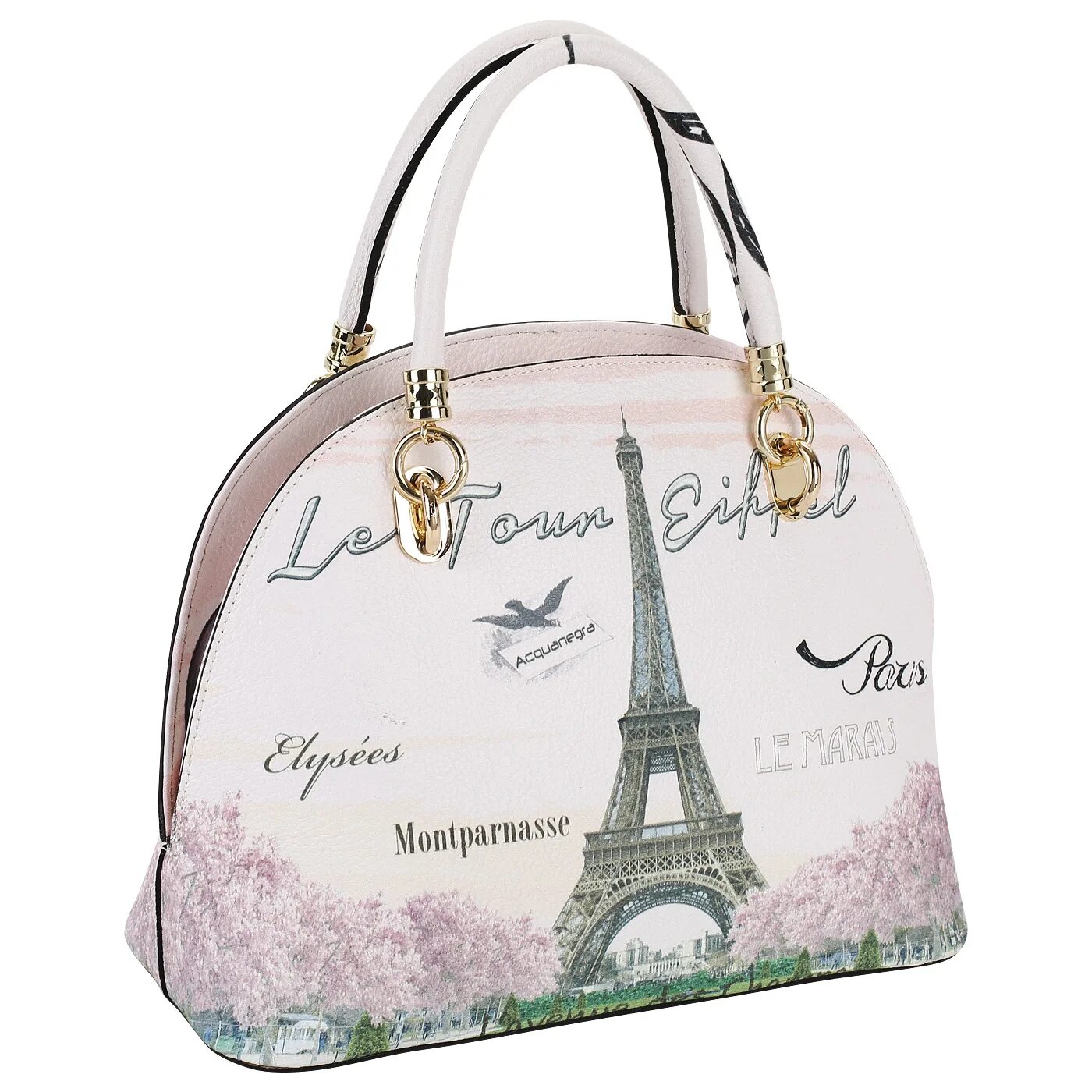 Сумка Acquanegra Paris