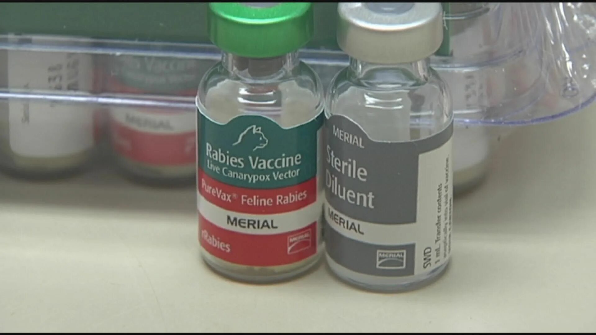 Merial Rabies vaccine. Rabies VACC sanbernarcino County 5021 Exp. 10/10/72. Rabies VACC sanbernarcino County 5021. Нобивак рабиес.