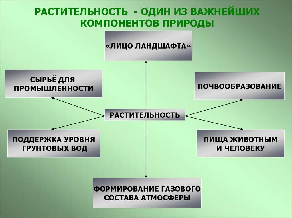 Характеристики компонентов природы. Растительность один из важнейших компонентов природы. Особенности компонентов природы. Растительный мир России 8 класс география. Растительный мир география 8 класс.