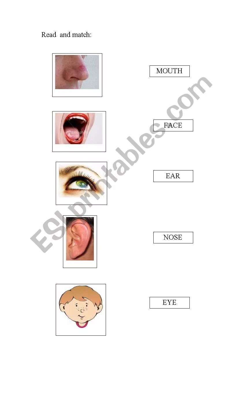 Рот по английскому языку. Нос глаза по английский. Волосы глаза уши нос рот по английский. Нос рот уши. Уши по английски слушать