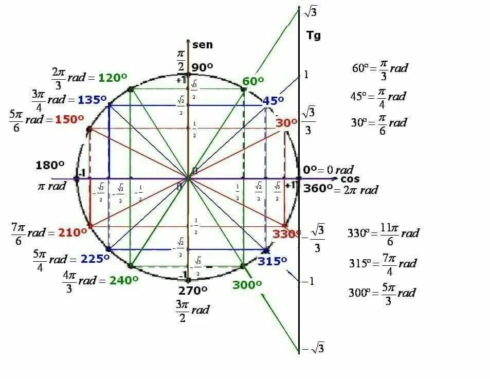 Точки тригонометрического круга. Тригонометрический круг единичная окружность. Тригонометрический круг тангенс. Алгебра 10 тригонометрическая окружность. Тригонометрический круг 10 класс.