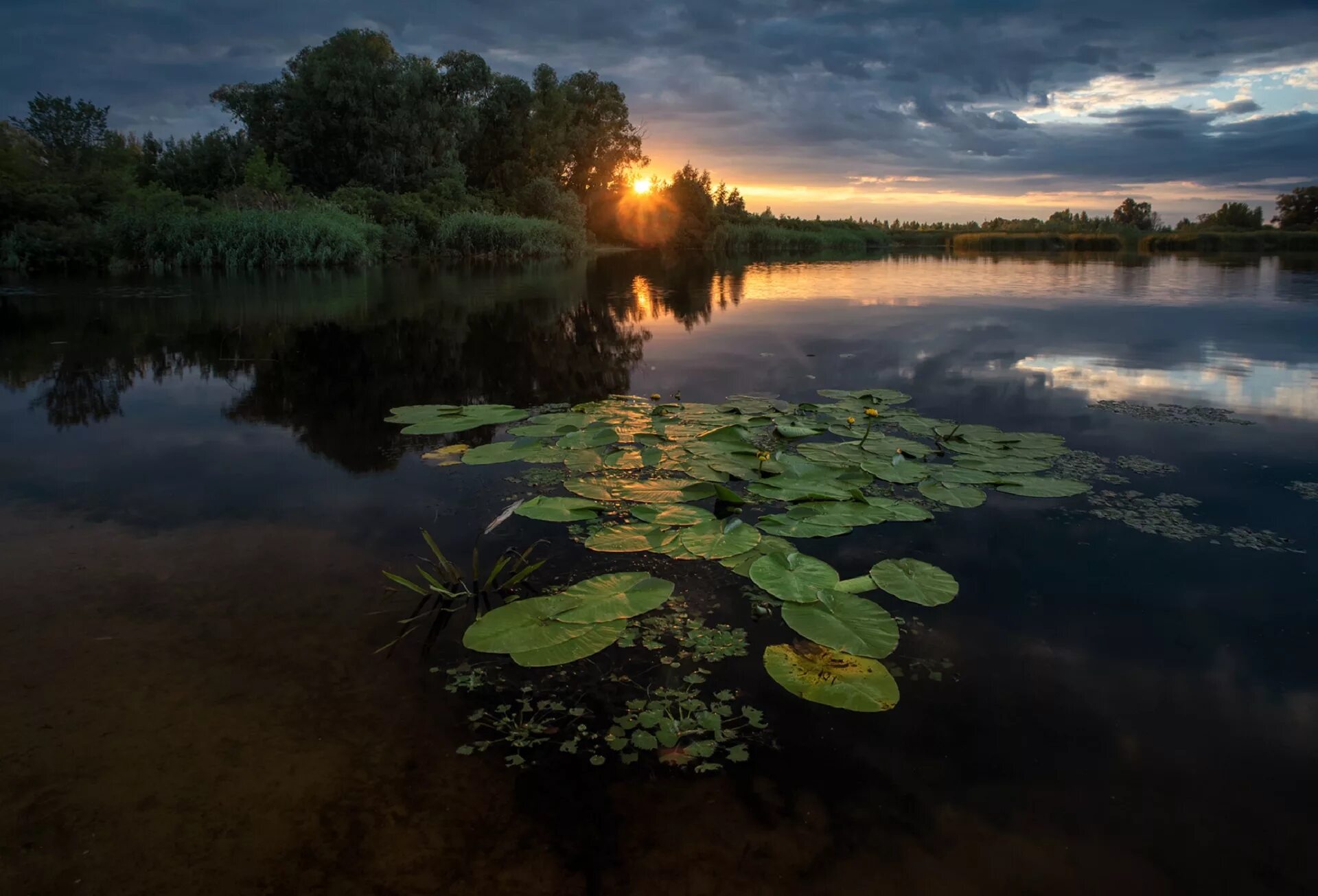 вечер на реке сочинение. нисский георгий григорьевич (1903-1987). сосновый бор картина саврасова. рылов аркадий александрович (1870-1939). поленов ока близ тарусы.