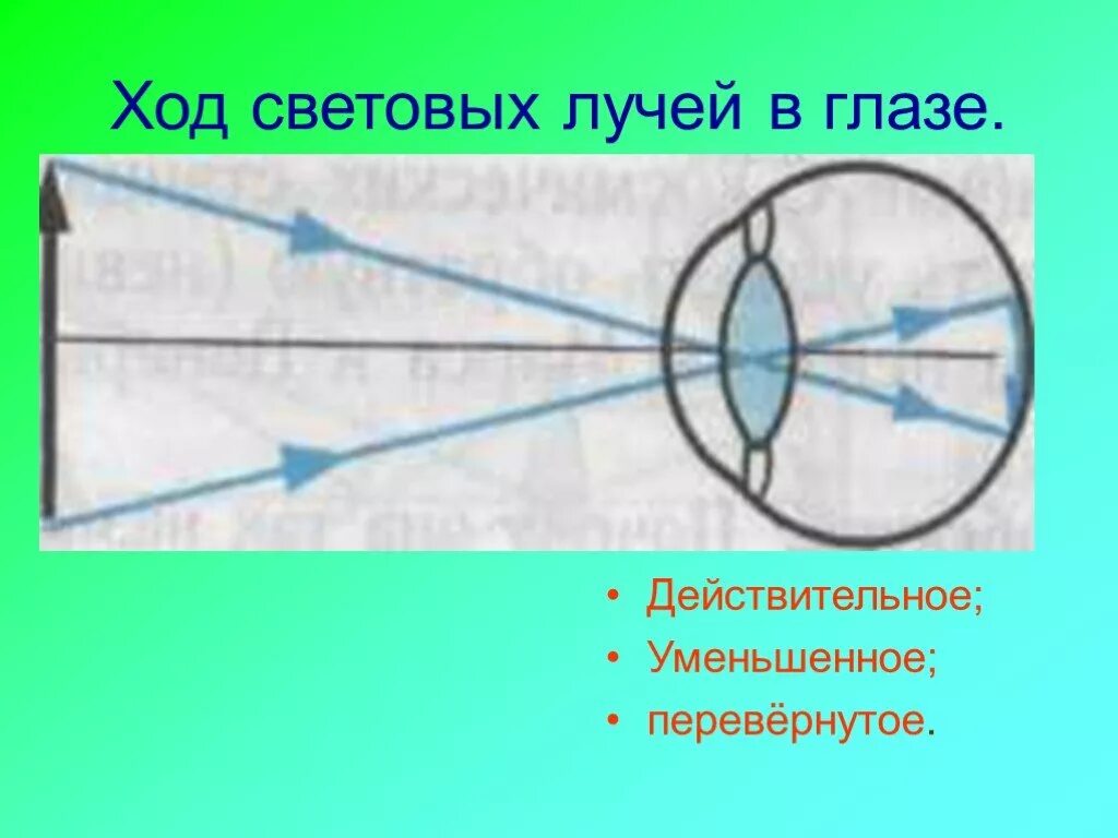 Ход лучей через прозрачную среду глаза схема. Ход световых лучей в глазу. Схема хода световых лучей в глазу. Ход лучей в оптической системе глаза.