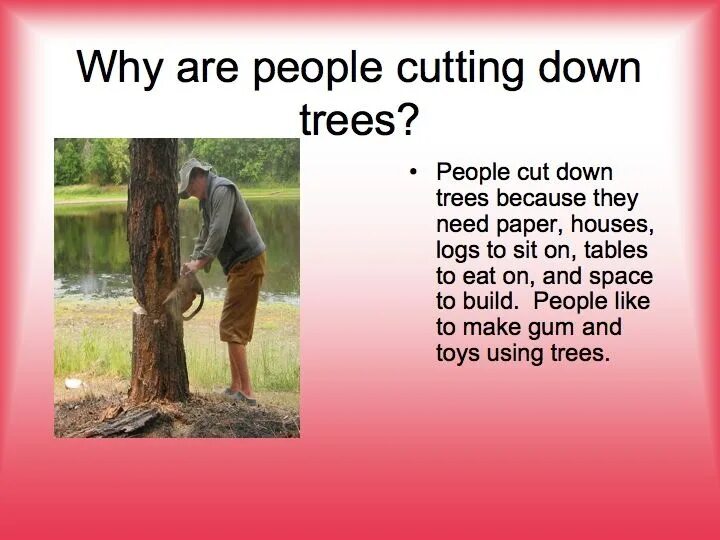 Cut them down. Why do people Cut down Trees. Trees are Cut down. To Cut down Trees. Cutting down Trees.