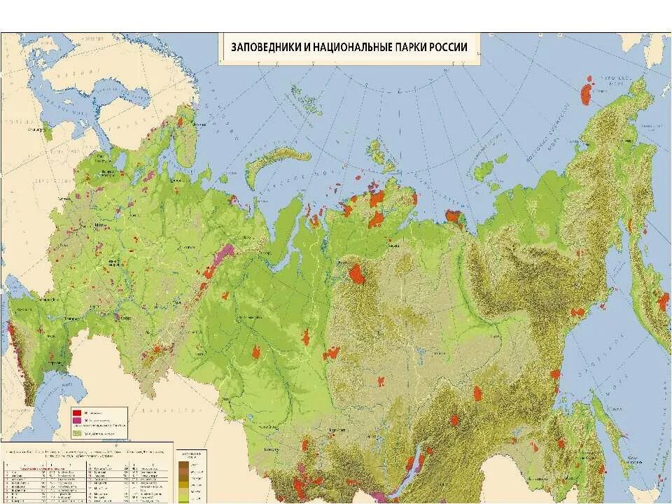 Крупнейшие заповедники россии на карте. Карта заповедников и национальных парков России атлас. Заповедники и национальные парки России карта. Заповедники национальные парки заказники России на карте. Национальные парки России на карте России.