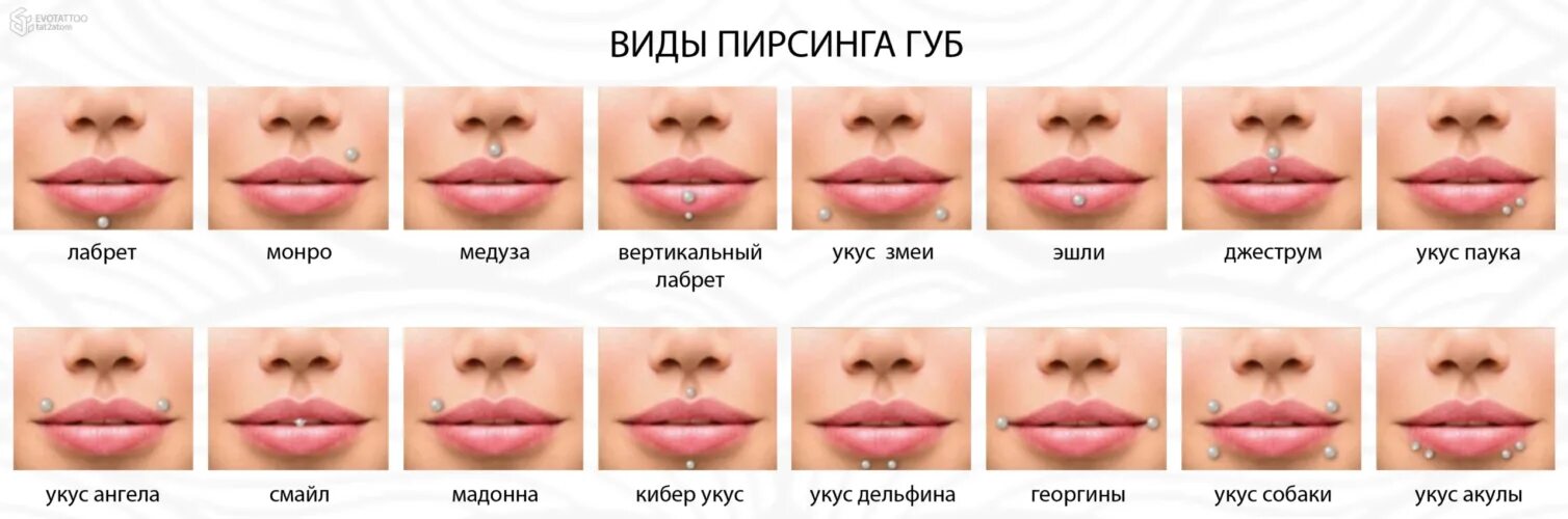 Название прокола губы фото - ABTORG.ru
